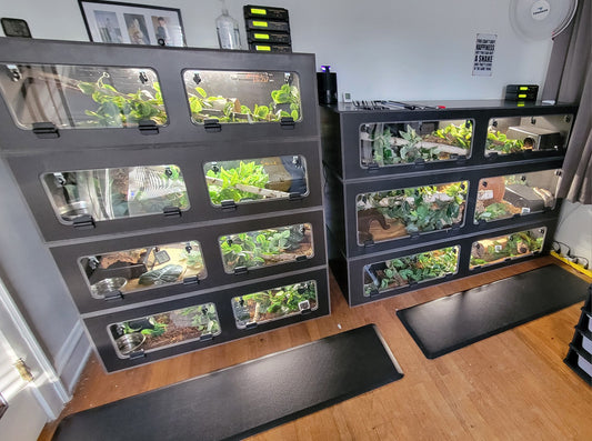 Elevate Your Reptile’s Habitat with Hurst Reptiles LLC’s Premium PVC Enclosures